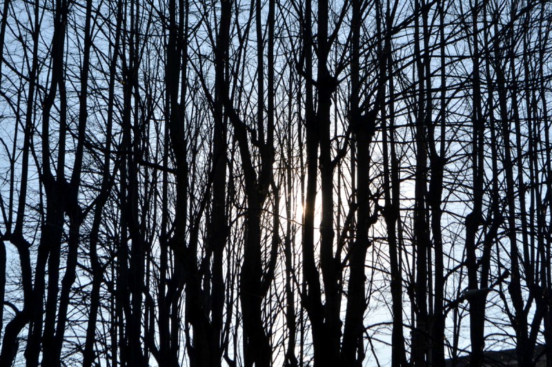 Lecco_mostra_foto__2_.jpg (201 KB)