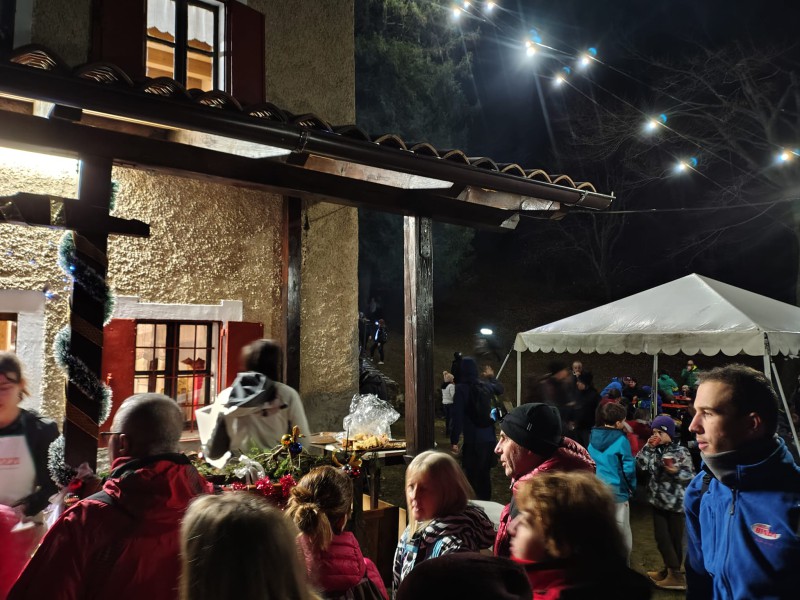 antivigilinataleballabio__5_.jpeg (129 KB)