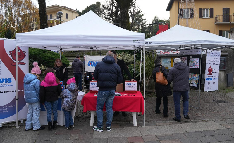 avisgalbiate3.jpg (300 KB)