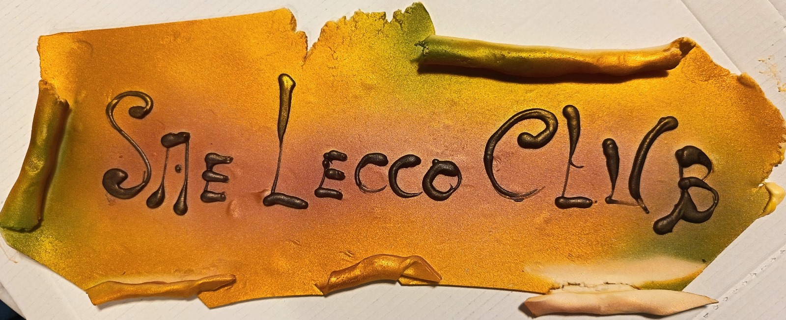 leccosae__2_.jpeg (403 KB)