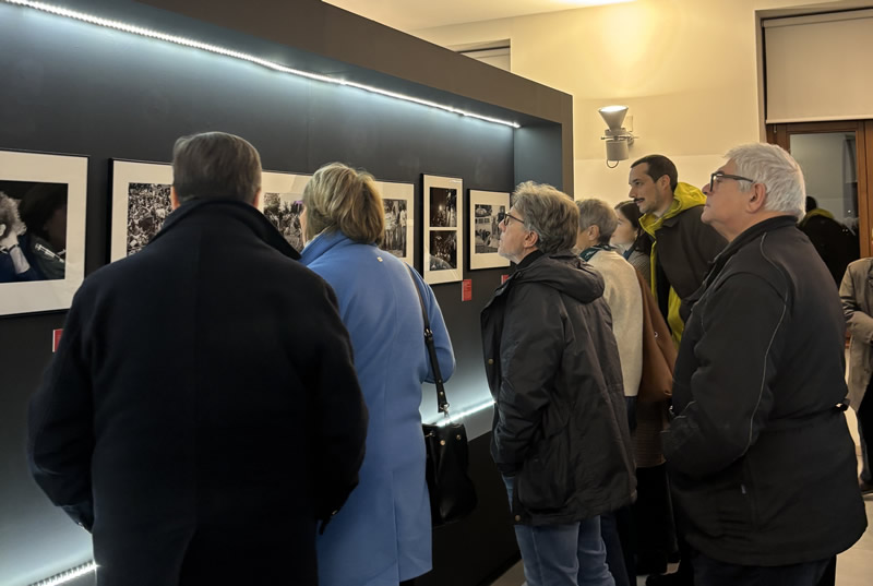 mostrafestival__8_.jpg (73 KB)