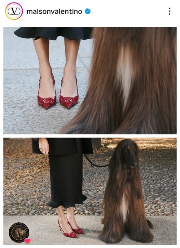 navarre__1_.jpg (106 KB)