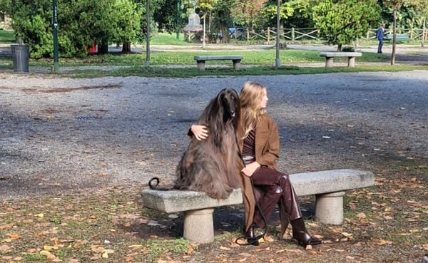 navarre__3_.jpg (193 KB)