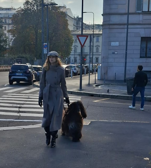 navarre__4_.jpg (100 KB)