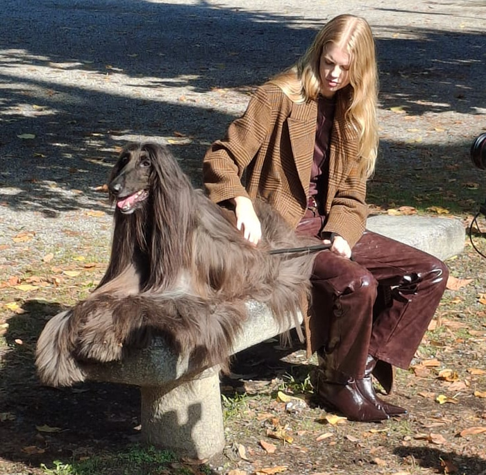 navarre__5_.jpg (249 KB)