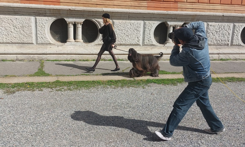 navarre__6_.jpg (226 KB)