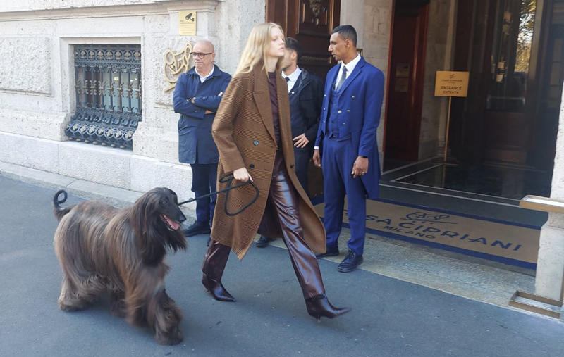 navarre__8_.jpg (243 KB)