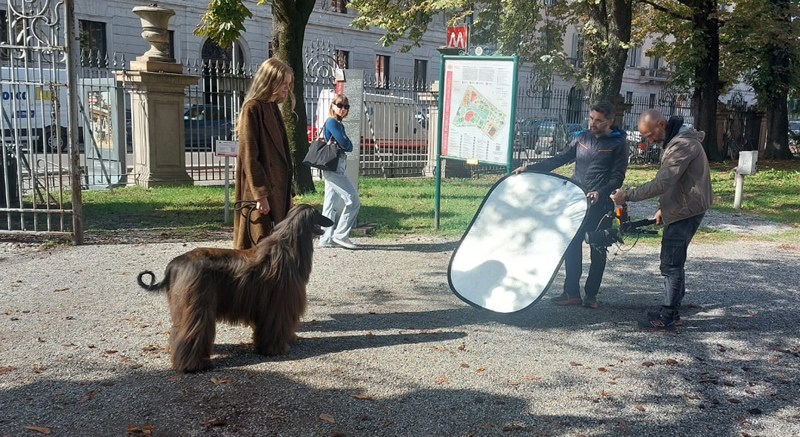 navarre__9_.jpg (224 KB)