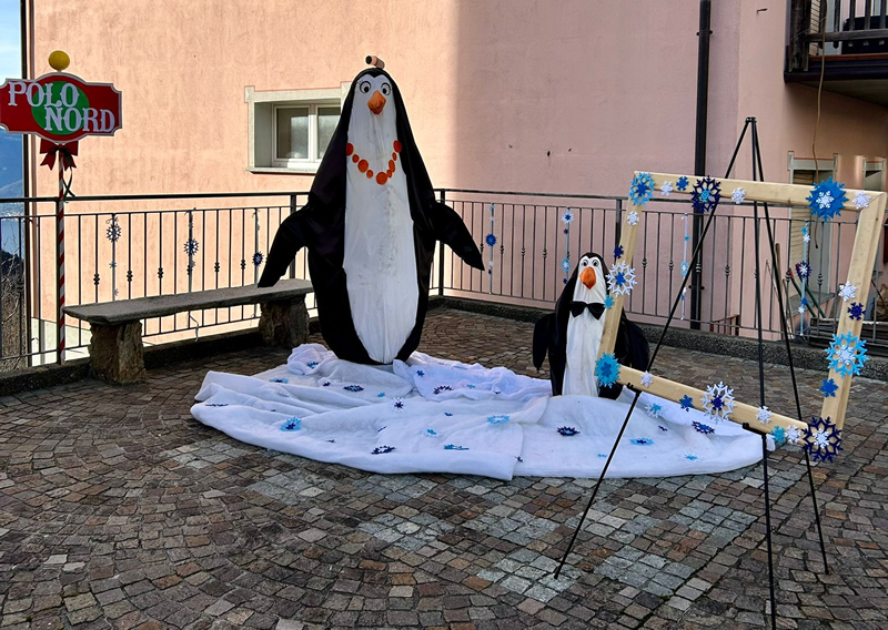 valvarronemercatini__5_.jpg (385 KB)