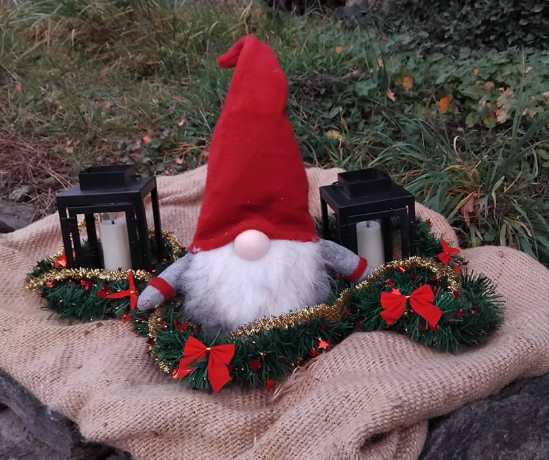 valvarronemercatini__8_.jpg (364 KB)