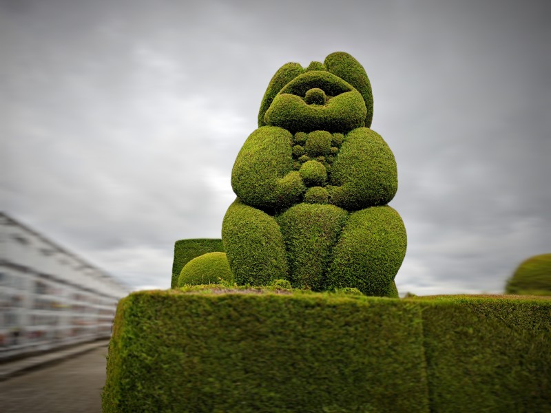 viaggiatoricolombia__2_.jpg (89 KB)