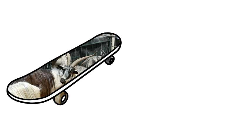 1_16.11.2025.jpg (17 KB)