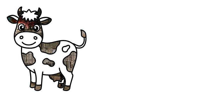 3_09.11.25.jpg (19 KB)