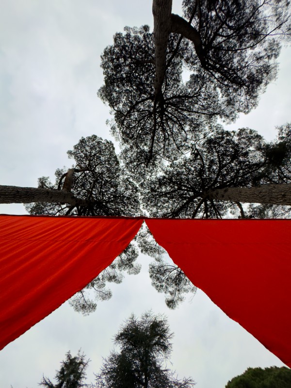 ComunediLecco_ParcoVillaGomes7.jpg (137 KB)