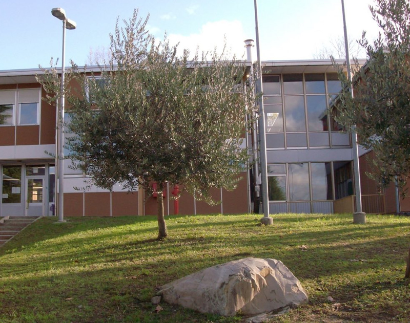 ccgalbiate4.jpg (375 KB)