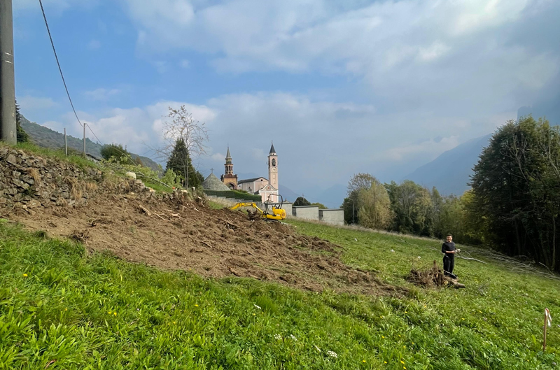 custodiradici__3_.jpg (336 KB)