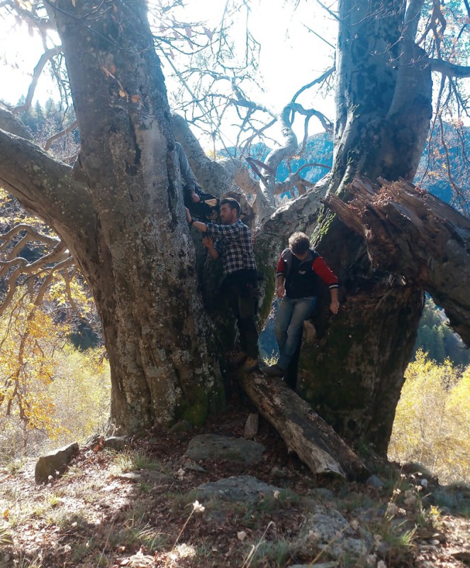 faggio__7_.jpg (178 KB)