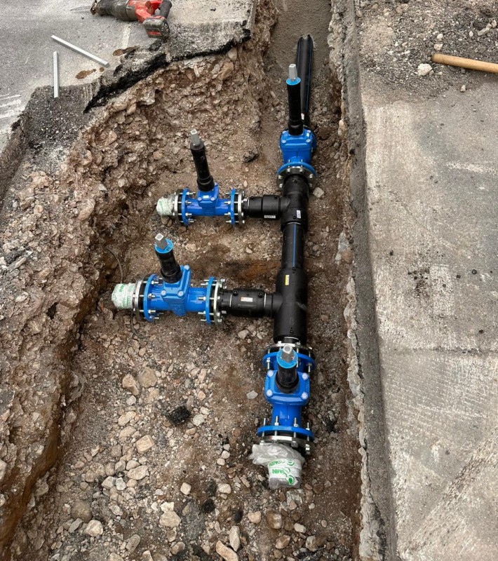 leccolrh1.jpg (249 KB)