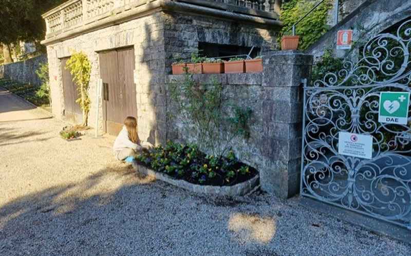 minoprio__1_.jpg (148 KB)