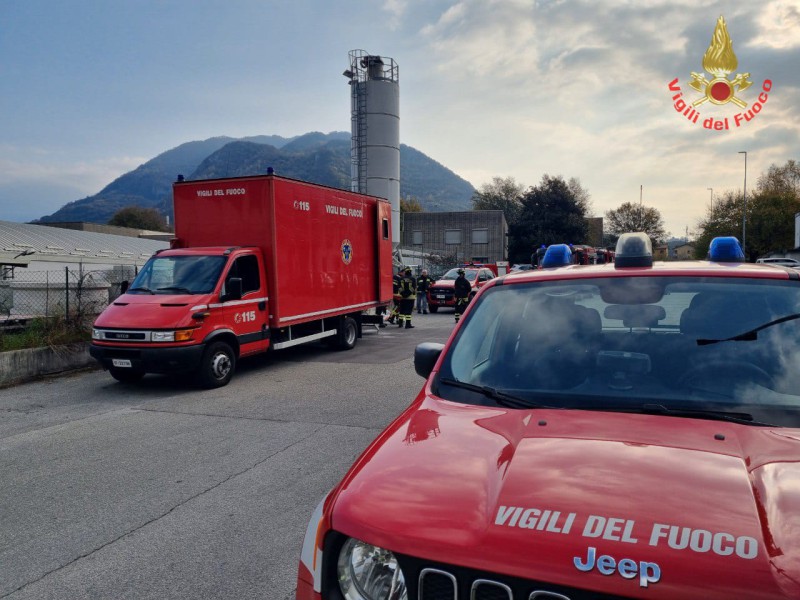 vvfcollini1.jpg (112 KB)