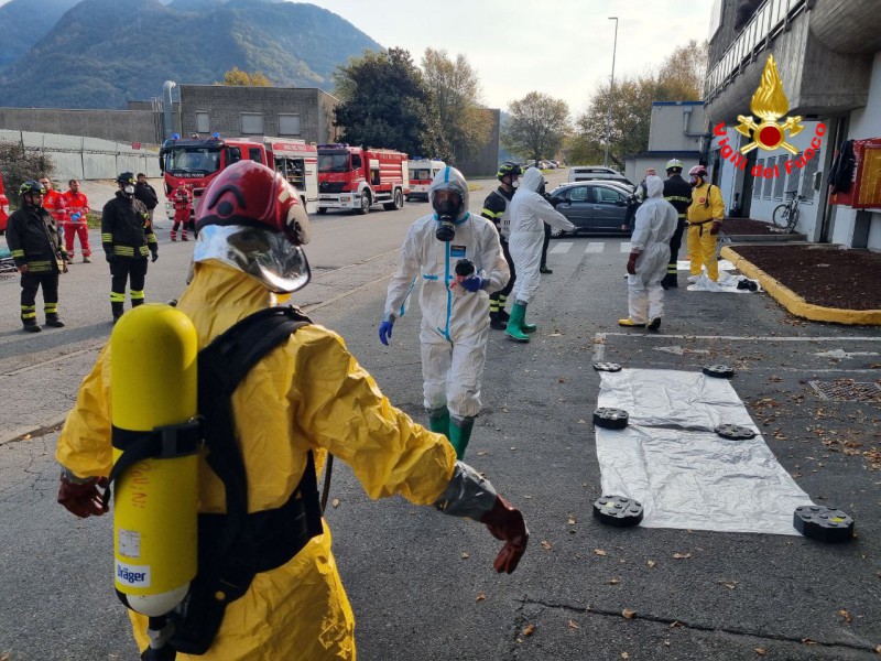 vvfcollini2.jpg (156 KB)