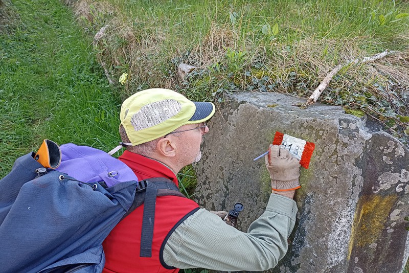 Anello_lavori_1.jpg (188 KB)