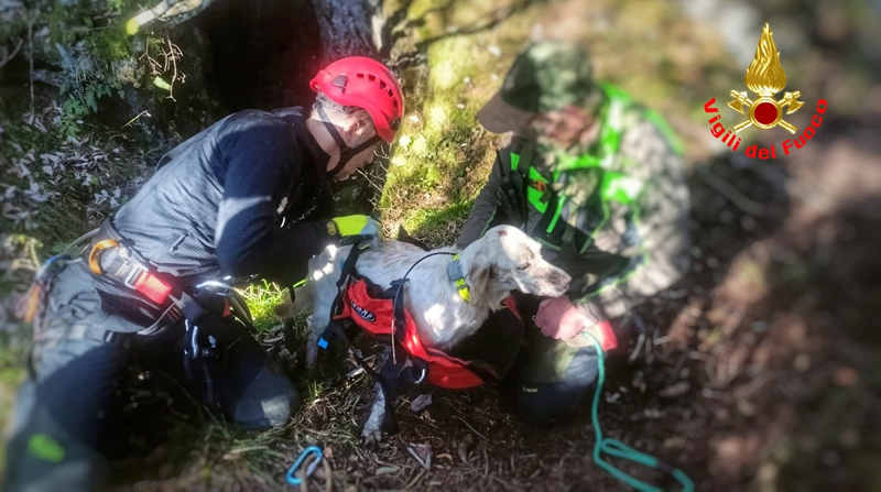 canisoccorsi__2_.jpg (217 KB)