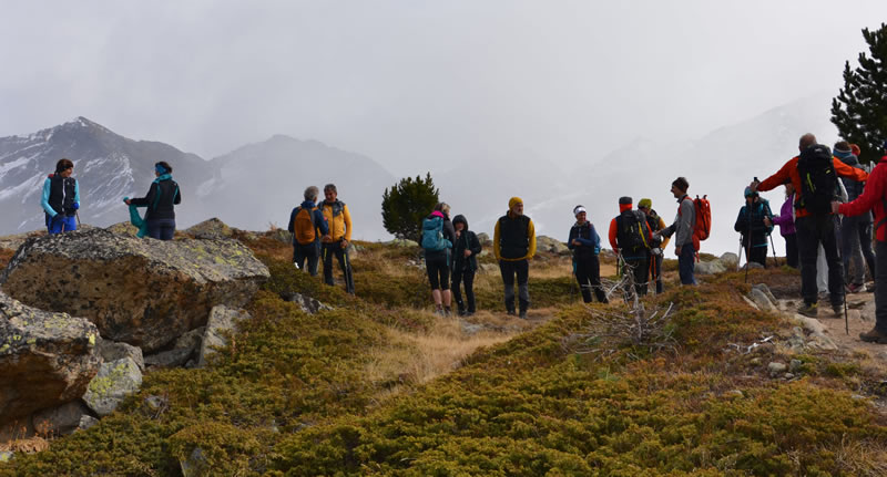 engadina__6_.jpg (77 KB)