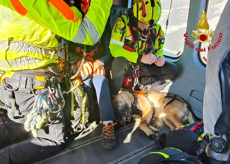 pastoretedesco1.jpg (358 KB)