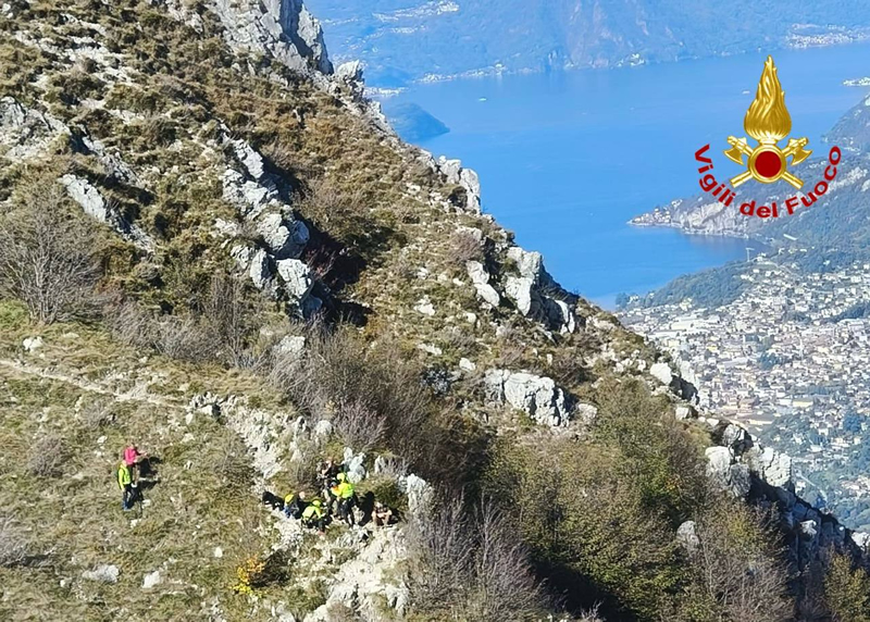 pastoretedesco2.jpg (416 KB)