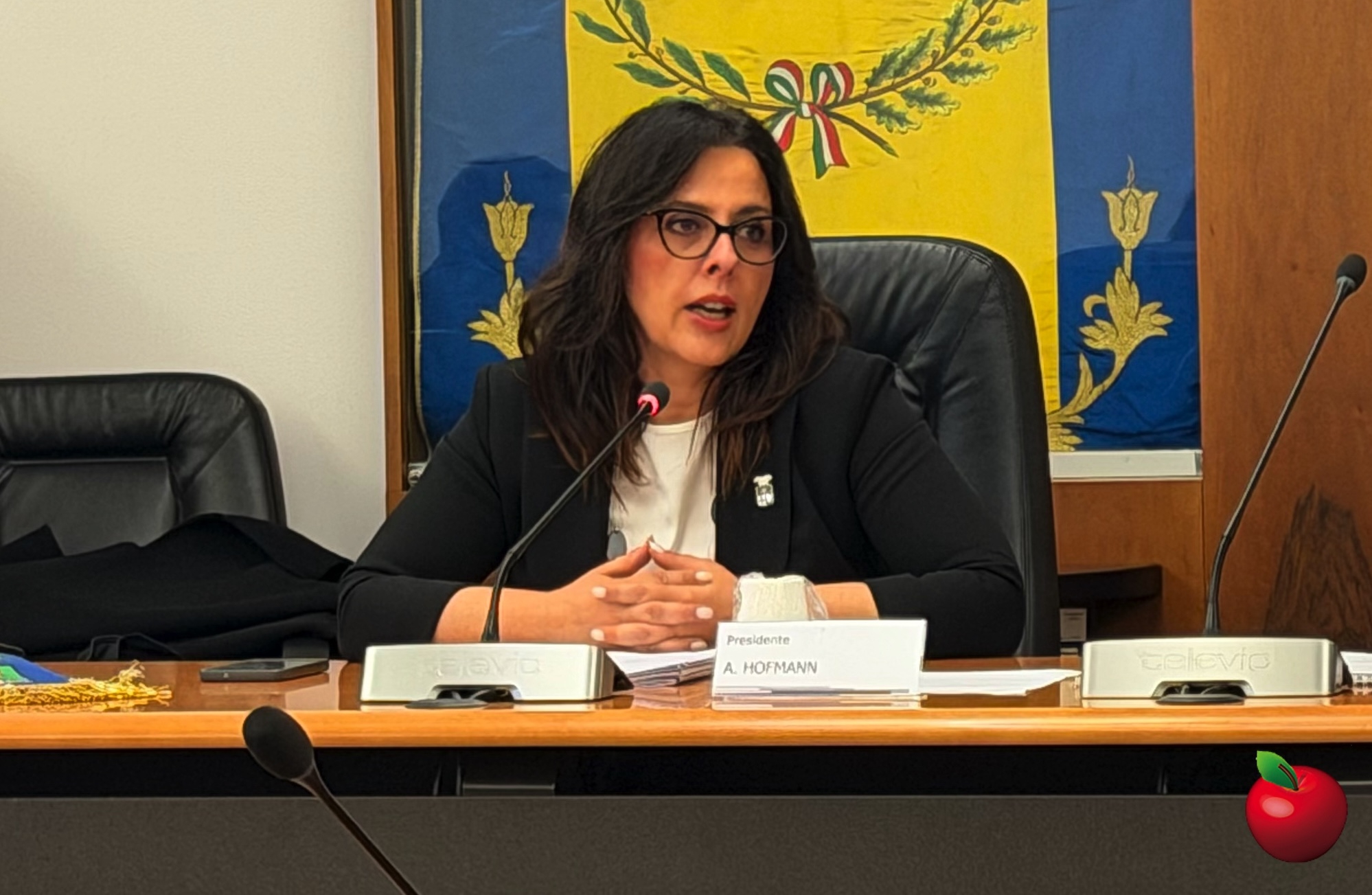 Lecco_giuramento_Presidente2.jpg (887 KB)