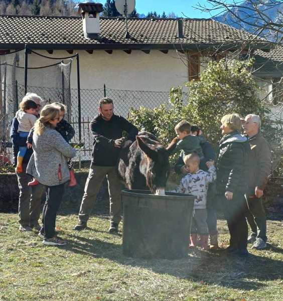 asinigenerazioni__11_.jpeg (296 KB)