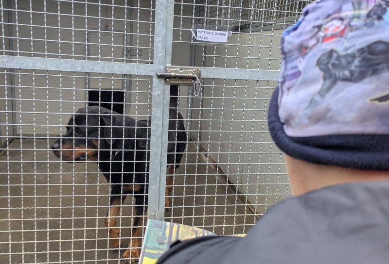 canileerba.jpg (113 KB)