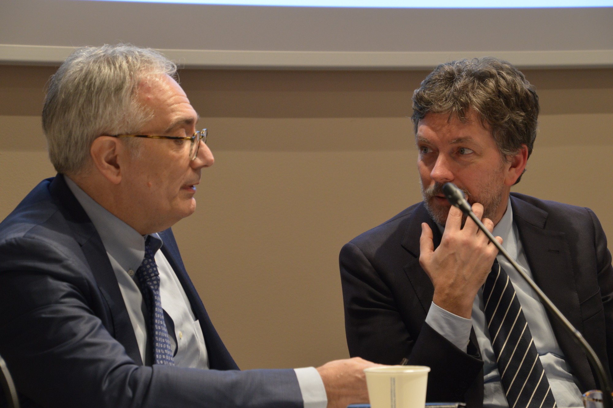 colasantipelizzari__1_.JPG (315 KB)