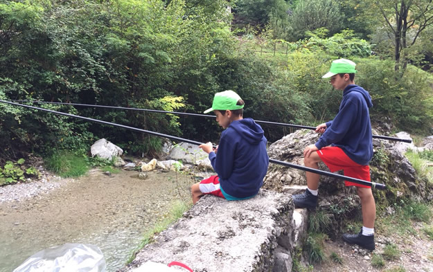 fipsas2025__2_.jpg (122 KB)