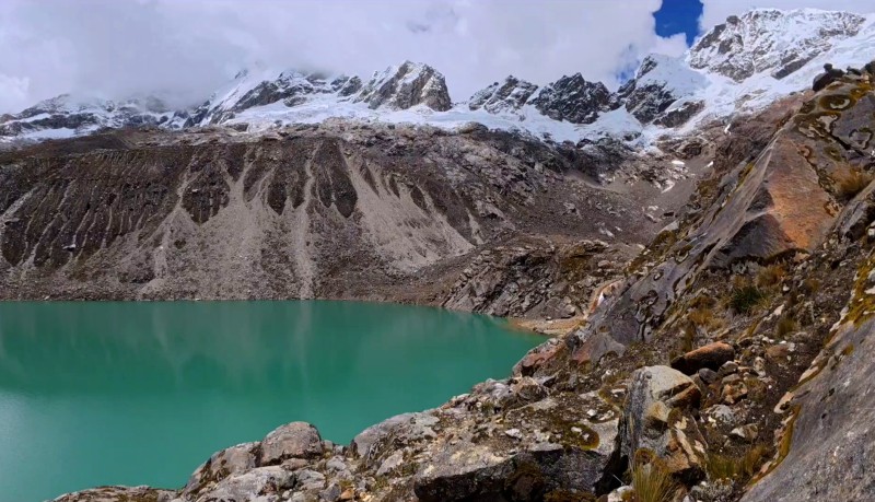 foglie2.jpg (120 KB)