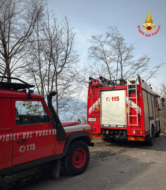 mezzivvf.png (1.01 MB)