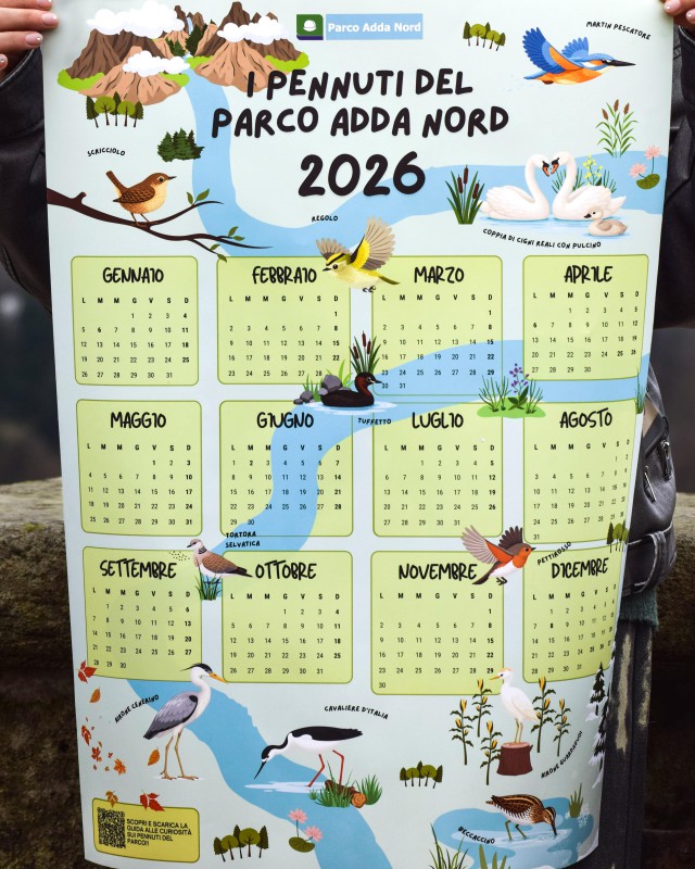 Calendario_Pennuti_scuola.jpg (150 KB)