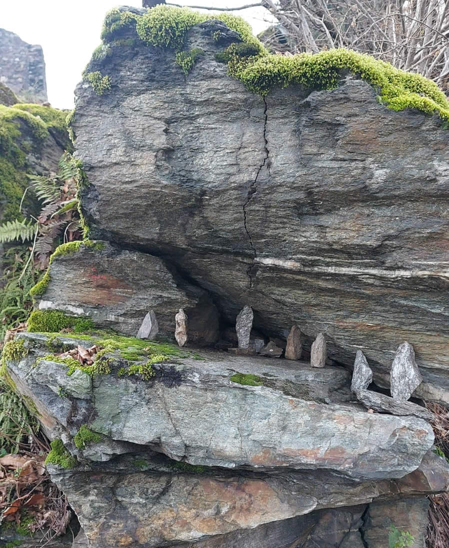 colicopresepi3.jpg (243 KB)