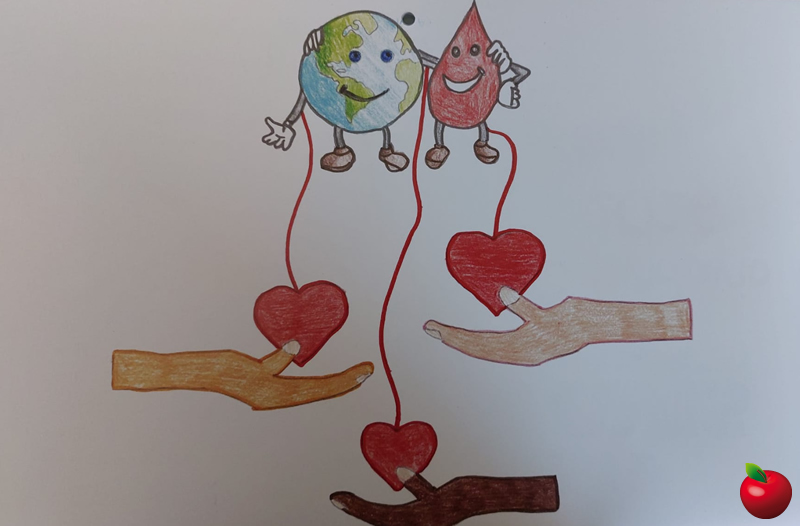 IMG_3046.jpg (133 KB)