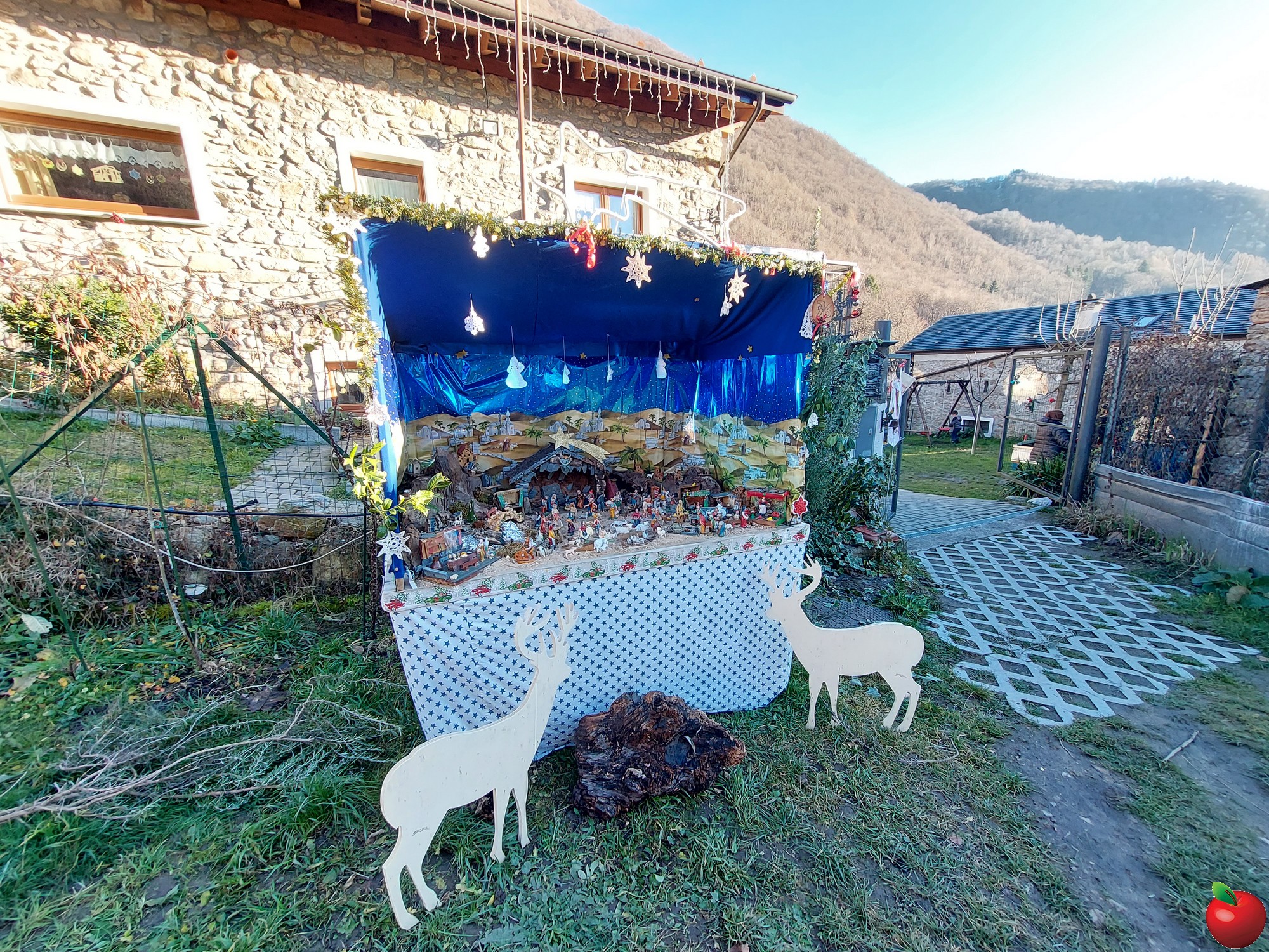 20251227_151152.jpg (1.32 MB)