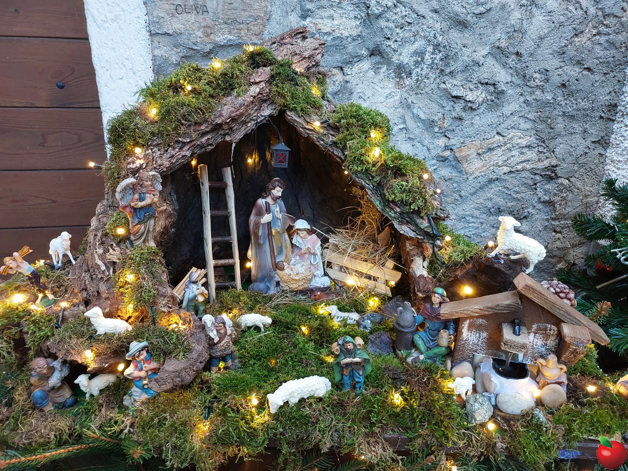 20251227_153826.jpg (1.36 MB)