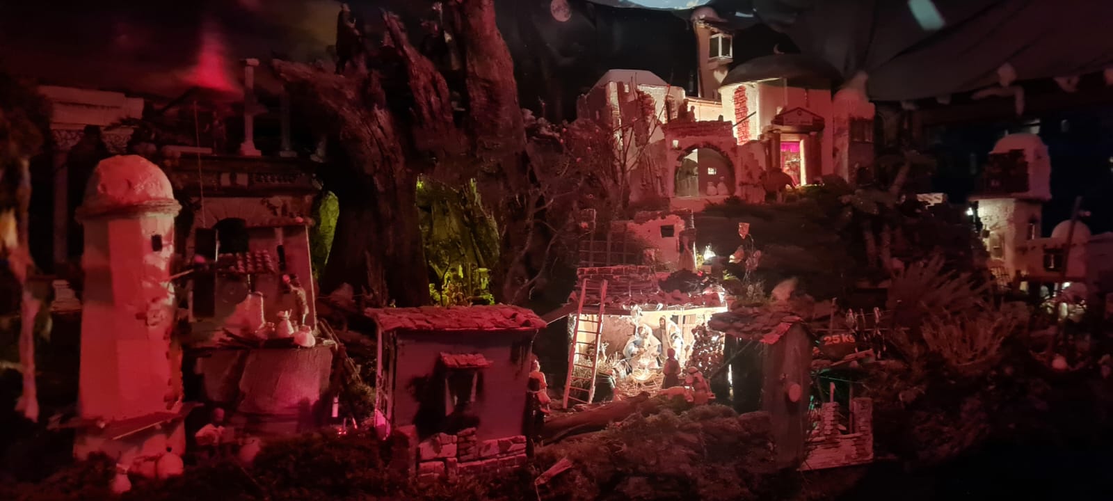 IMG-20251206-WA0053.jpg (112 KB)