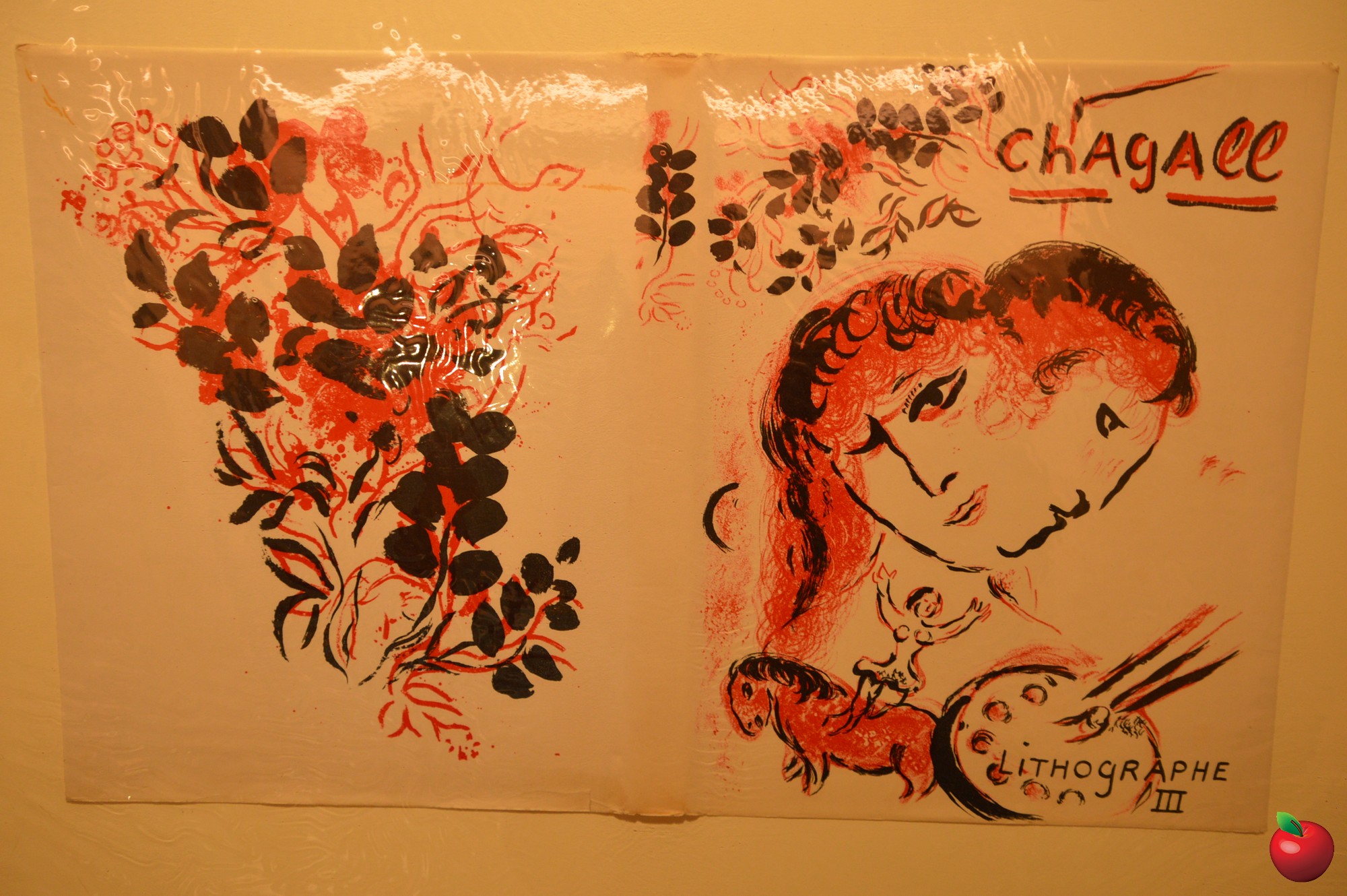 DSC_0008.jpg (573 KB)