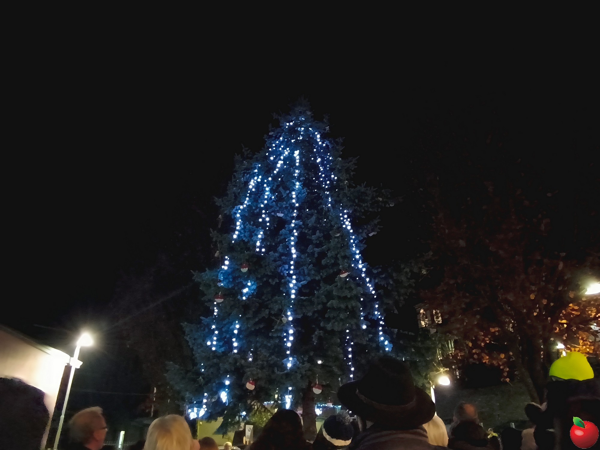 13PrimalAccAlb.jpg (355 KB)