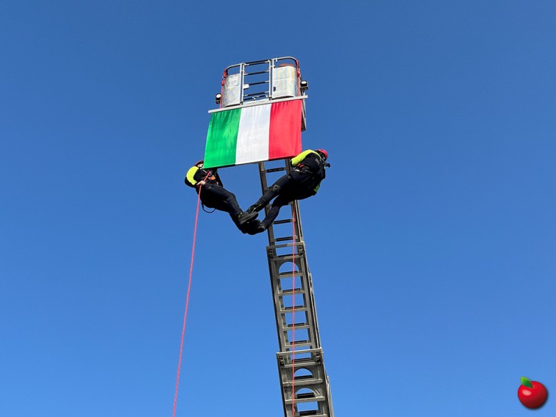 IMG_8995.jpg (42 KB)