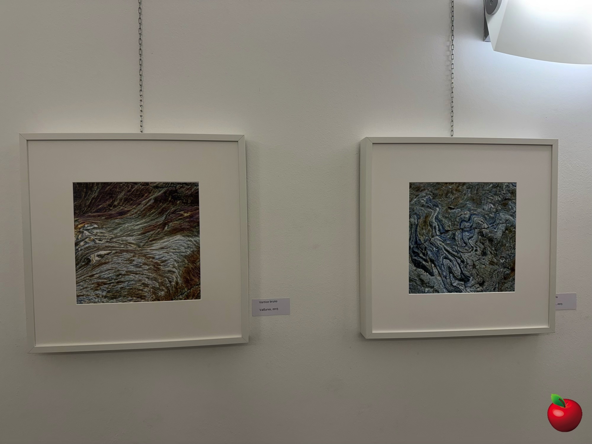 IMG_2264.jpg (510 KB)