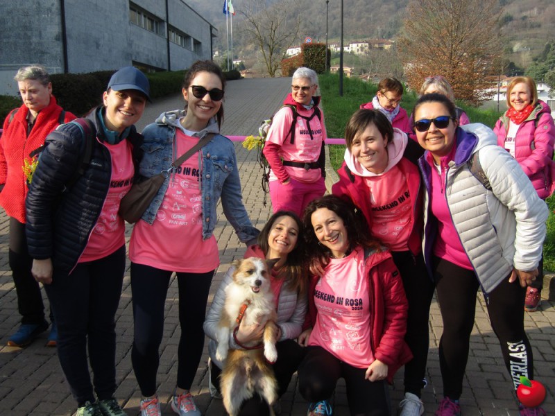 IMG_3821.jpg (135 KB)