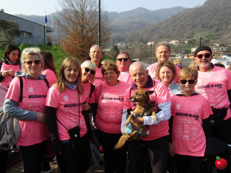 IMG_3831.jpg (126 KB)