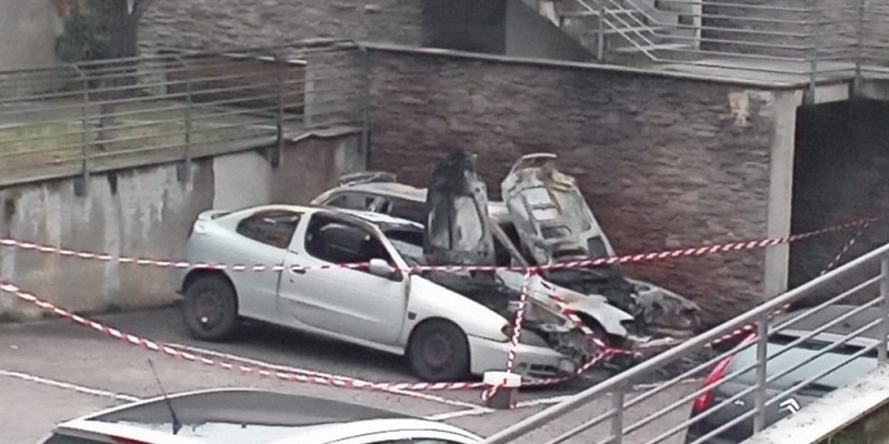 OlginateAutoBruciate.jpg (76 KB)